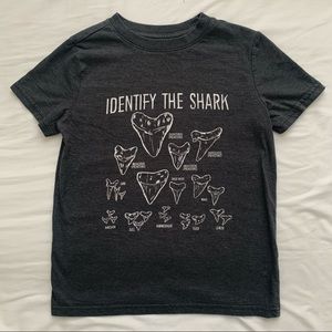 Boys gray shark themed tee shirt 🌿